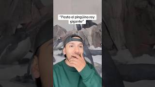 Pesto el pingüino rey gigante sabiasque curiosidades shorts [upl. by Illona692]