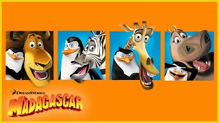 Madagascar Escape a África 🦁🦒  Adelantos extendidos  DreamWorks Madagascar en Español Latino [upl. by Gnal747]