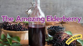 The Amazing Elderberry Its Many Health Benefits [upl. by Endaira]