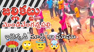 Mondi Venganna palli monena palli Full Video End to End  Complete Festival  Jallikattuboys [upl. by Akeemat969]