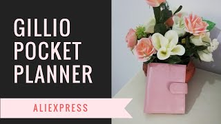 Faux Gillio  Pink Pocket Planner Aliexpress [upl. by Tobin]