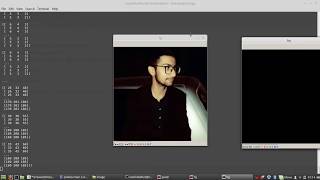 Image masking python opencv [upl. by Asiat]