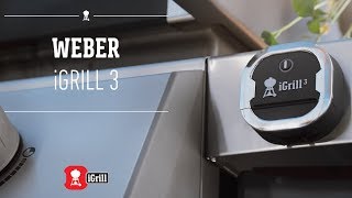 Learn all about the Weber iGrill 3 appconnected thermometer [upl. by Drain]