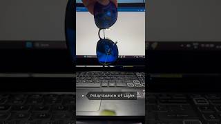 Polarisation of Light using Sunglasses physics science shorts [upl. by Hsirehc877]