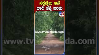 ಸಕ್ರೆಬೈಲು ಆನೆ ದಾರಿ ತಪ್ಪಿ ಬಂತು ​Elephant Tv9D [upl. by Seligman817]