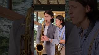 La Paloma  Julio Iglesias  Billy Vaughn  Mireille Mathieu cover Sax Element [upl. by Dinan]