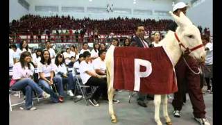 Juán García Esquivel Y Su Orquesta Politécnico Rock And Roll [upl. by Nisen]