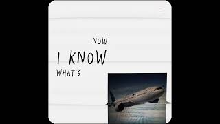 Now i now whats real and what is fake gatau capcutedit aviation [upl. by Laeno]