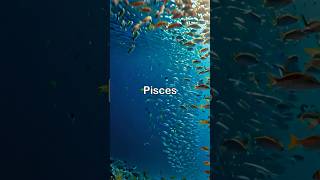 Pisces Sep 2229 Horoscope pisces pisceshoroscope fyp [upl. by Dittman]