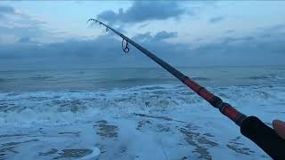 Pescando de Orilla en Las Playas de Oceanica en Mazatlan [upl. by Lew]