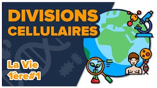 Les divisions cellulaires des eucaryotes SVT  LA VIE 1ère spé 1  Mathrix [upl. by Nauqad437]