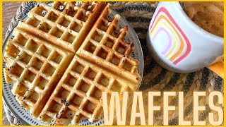 Waffles con la Sandwichera eléctrica 5 en 1 PESW6141 [upl. by Jerrie850]