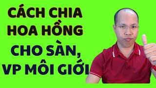 Cách chia hoa hồng cho Sàn VP môi giới BĐS Người môi giới nhà đất Môi giới bất động sản [upl. by Darelle]