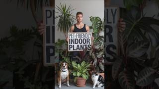 🌱PetFriendly Indoor Plants🌿 IndoorPlants Pet HousePlant Plants Gardening IndoorGardening [upl. by Yeliab99]