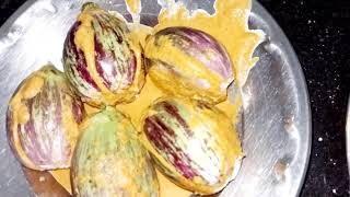 recipe bagare baigan  relaxing sounds  ss asmr vlogs [upl. by Patin484]