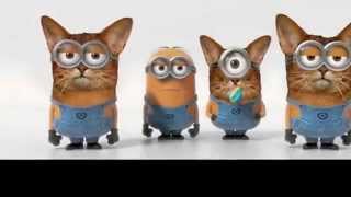 Minion Banana Song With Cat Edition [upl. by Little231]