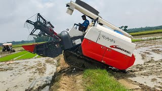 Kubota Harvester King 2 Deep Mud Paddy Cutting [upl. by Melnick748]