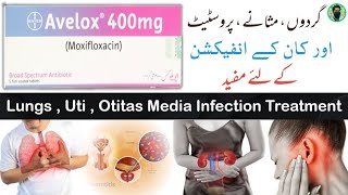 Avelox 400mg tablet  Moxifloxacin tablet uses in Urdu  Hindi  for Uti  chest and Otitas Media [upl. by Lynn]