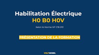 Formation en Habilitations électriques BR [upl. by Antonin]