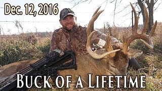 186quot Buck at 7 Yards  Rut Action  Midwest Whitetail [upl. by Carlye209]