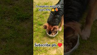 5 negative points ka dyan rkhe 👍🥵 gsd viral germansheparddog shorts gsdindia doglover like [upl. by Aken]