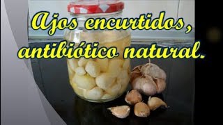 Ajos encurtidos antibiótico natural 🌱☯️ [upl. by Adimra84]