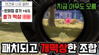 패치되고 개떡상한 총기 조합🔥근데 아무도 모름feat 24년 4월 [upl. by Ariel]