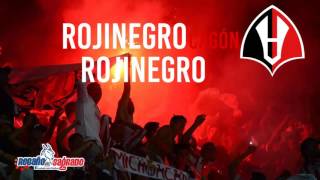 Rojinegro Cagón  Chivas [upl. by Natsyrt395]