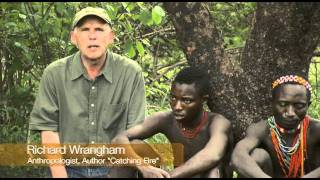 The Hadza Last of the First  Honeyguide Bird [upl. by Thadeus595]