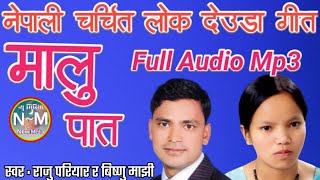 New Nepali Deuda Song 2078  Malu Pata  मालु पात  Raju Pariyar amp Bishnu Majhi  New Media YouTube [upl. by Enrahs]