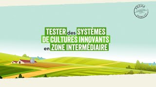 Tester des systèmes de cultures innovants en zone intermédiaire [upl. by Enirehtahc]