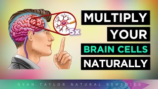 12 Ways To MULTIPLY Your BRAIN CELLS [upl. by Oderfigis]