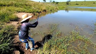 muita traíra na beira do mato era só jogar a isca que elas atacavam pescaria [upl. by Brittni295]