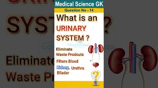 What is urinary system  Urinary system anatomy and physiology Functions of urinary system short [upl. by Tyre]