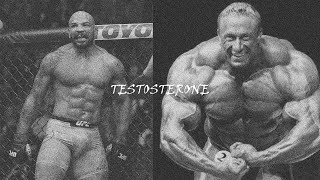 Testosterone edit  Bero 02 [upl. by Singhal]