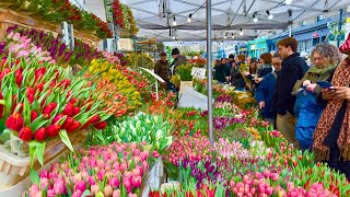 Columbia Road  Londons Finest Flower Market London United Kingdom flowers flowermarket [upl. by Tima]