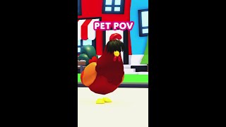 POV pet with long bangs 🐔 [upl. by Notyalk]