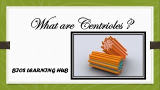 What are centrioles Biology [upl. by Calie]