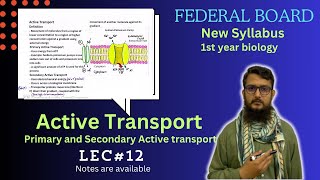 Active transport  Primary and Secondary active transport  class 11 [upl. by Charissa]