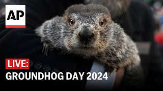 Groundhog Day 2024 Watch if Punxsutawney Phil sees his shadow [upl. by Dode]