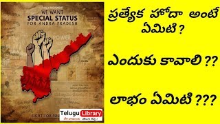 ప్రత్యేక హోదా అంటే ఏమిటి  what is the special status   Telugu library [upl. by Ahsenahs]