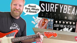 SURFY BEAR  Unboxing the Compact Surfy Vibe amp Surfy Trem  Comparison against the BIG BOI [upl. by Trever434]