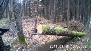 Eiche beiseilen 1 Versuch mit MAGINON ActionCamera [upl. by Ynaffat]