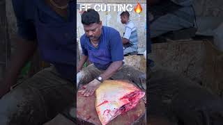 KASIMEDU 🔥 SPEED SELVAM  BROWN RAY FISH CUTTING VIDEO kasimeduselvam fishcutting youtubeshorts [upl. by Orella]