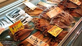 漁港のグルメスポット！『小田原早川漁港』に行ってきた！鮮度抜群のお魚を食べたり、持ち帰ったりすることができるよ！神奈川・小田原 [upl. by Eniowtna]