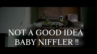 Fantastic Beasts The Crimes Of Grindelwald Baby niffler clip [upl. by Terzas]