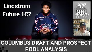 COLUMBUS BLUE JACKETS 2024 DRAFT amp PROSPECT POOL BREAKDOWN  Scouts Analysis [upl. by Bentlee232]