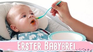 DER ERSTE BREI  Beikosteinführung amp Baby dreht sich  Vlog 52 [upl. by Acey]