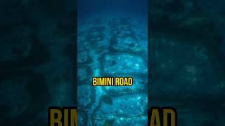 The Unexplained Mystery of Bimini Road in the Bahamas ancient lostcivilizations joerogan shorts [upl. by Schumer989]