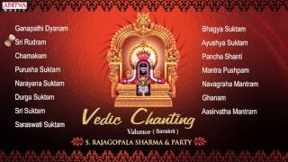 Vedic Chanting  S Rajagopalsharma Sanskrit Devotional Jukebox  Aditya Bhakti vedicchanting [upl. by Laven]